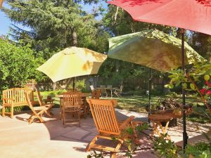 Teak Patio Set, Steamer Chair - Goldenteak Customer Photo