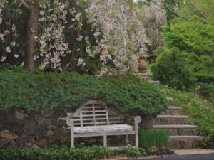 Goldenteak Teak Lutyens Marlboro Bench Customer Photo