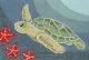 Sea Turtle Outdoor Rug